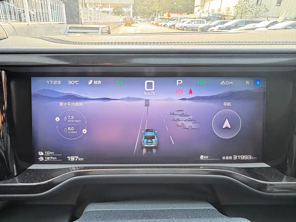 FANG CHENG BAO LEOPARD 5