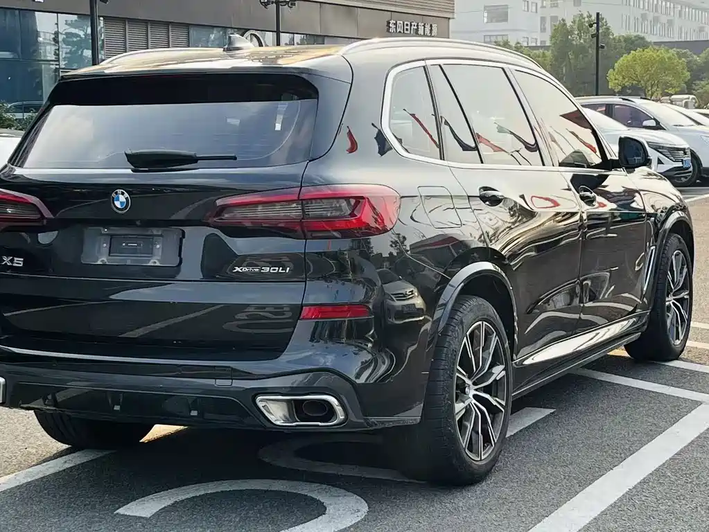 BMW X5 — миниатюра 9