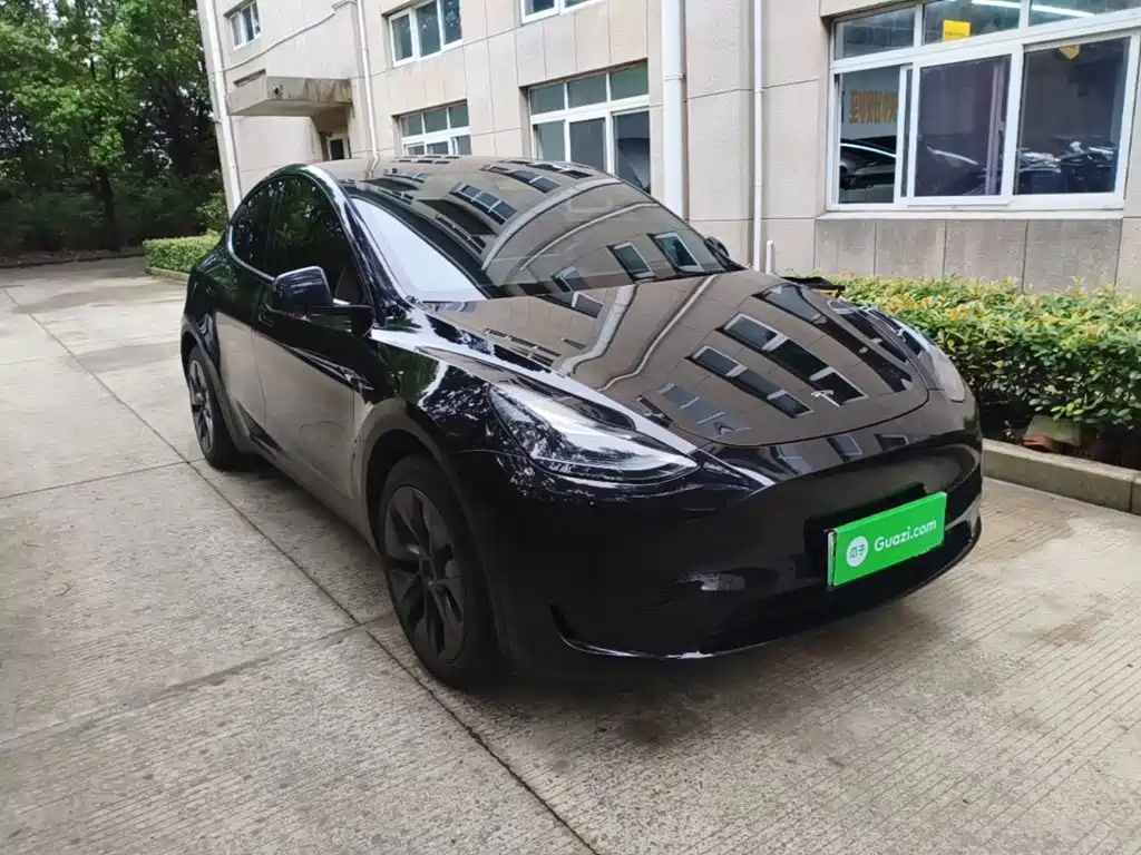 Tesla Model Y — миниатюра 4