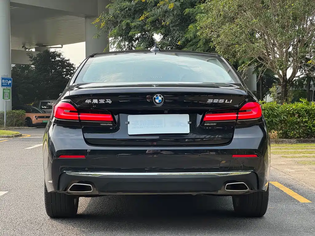 BMW 5 Series — миниатюра 15