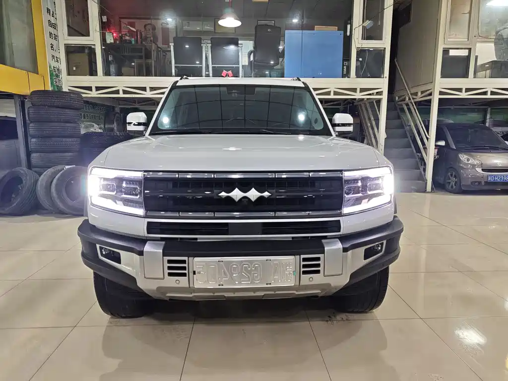 FANG CHENG BAO LEOPARD 5