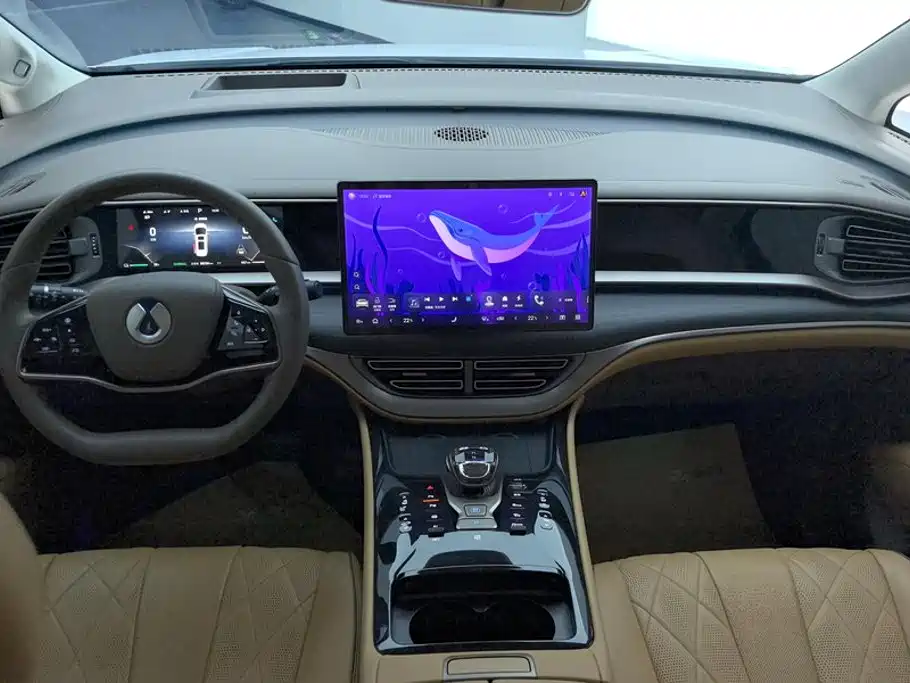 Denza Denza D9 — миниатюра 12