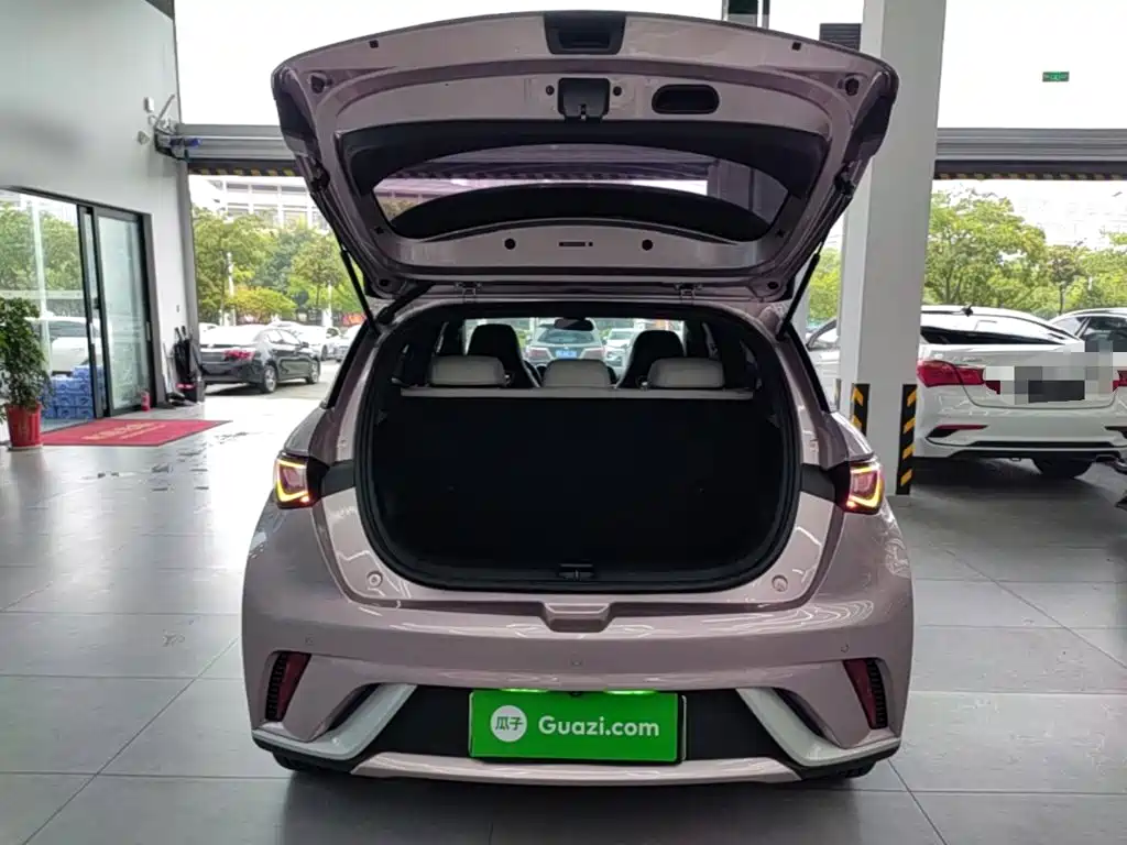 BYD Dolphin - фото 19
