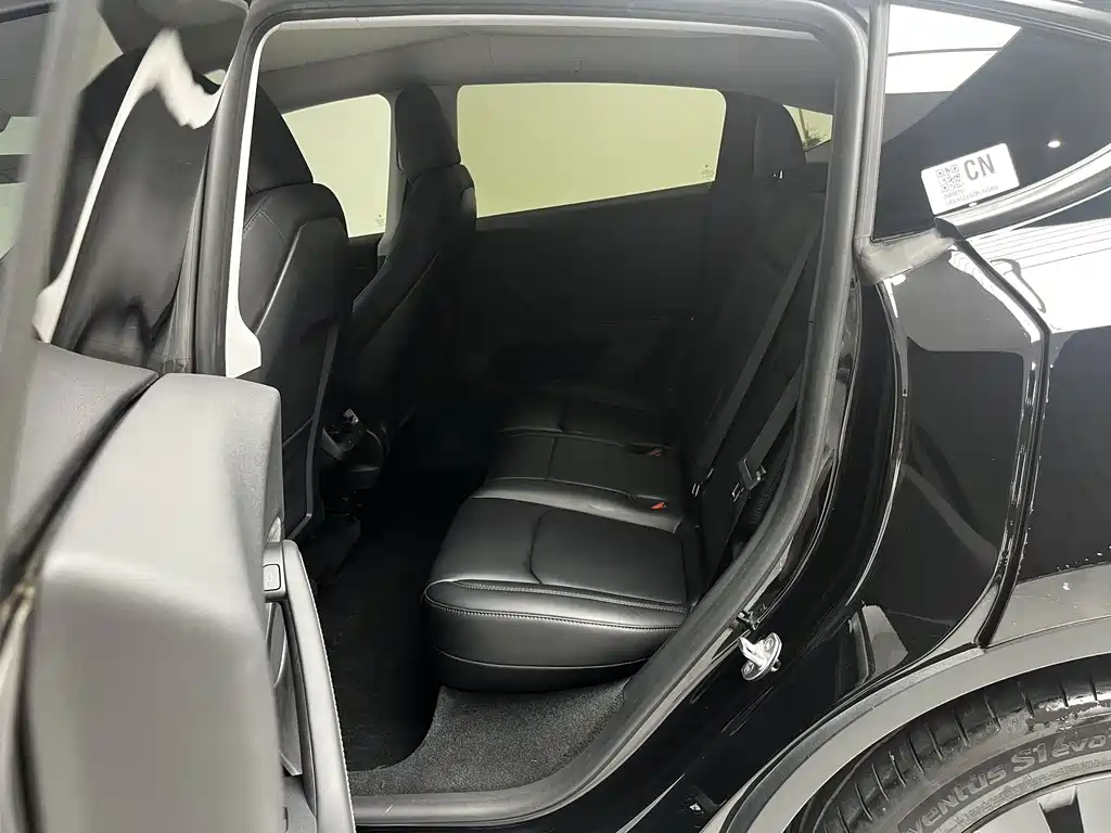 Tesla Model Y — миниатюра 10