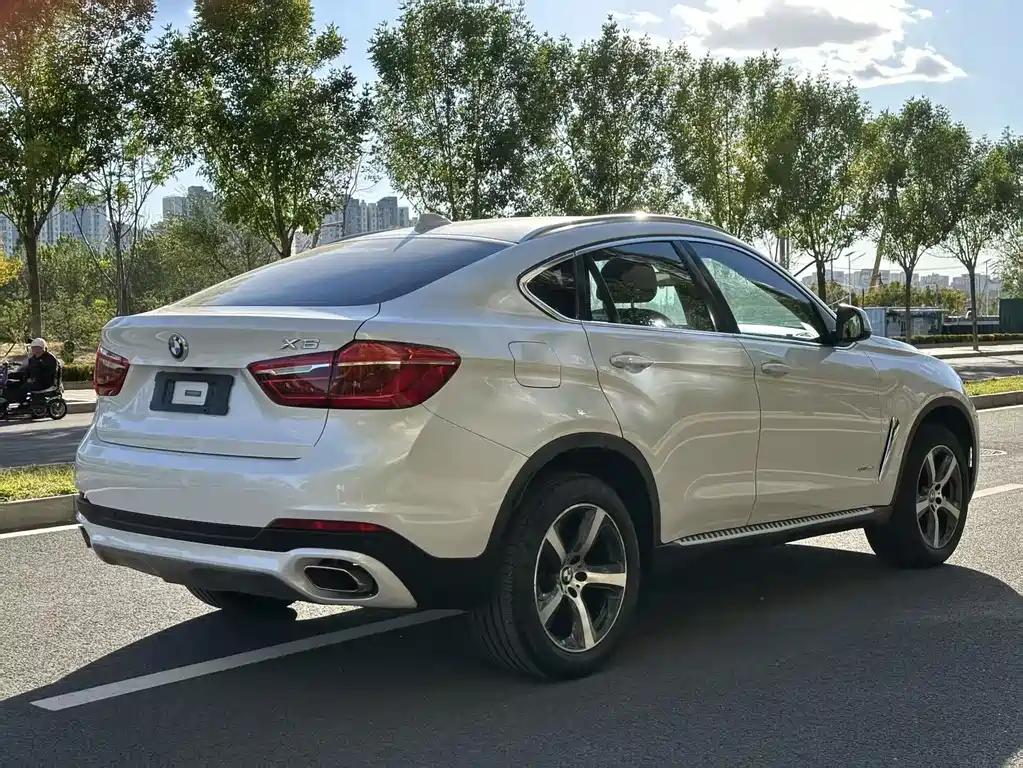 BMW X6 — миниатюра 6