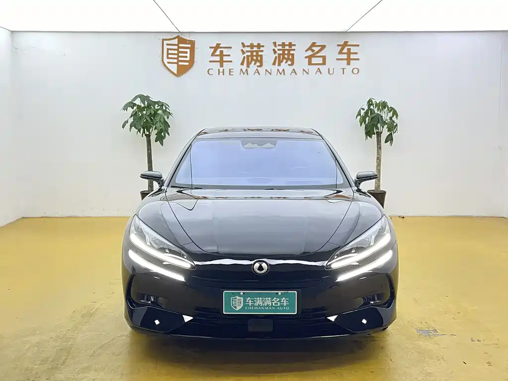 Denza Denza Z9GT — миниатюра 2