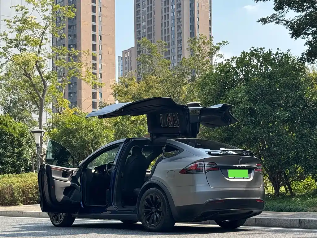Tesla Model X — миниатюра 15