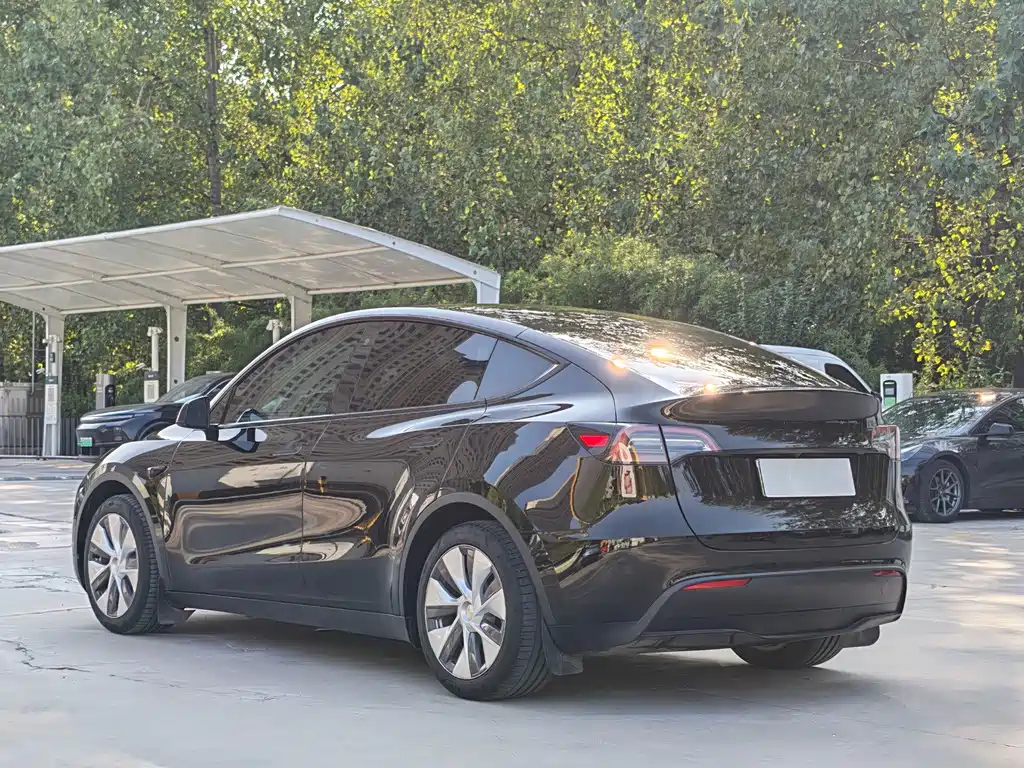 Tesla Model Y — миниатюра 9