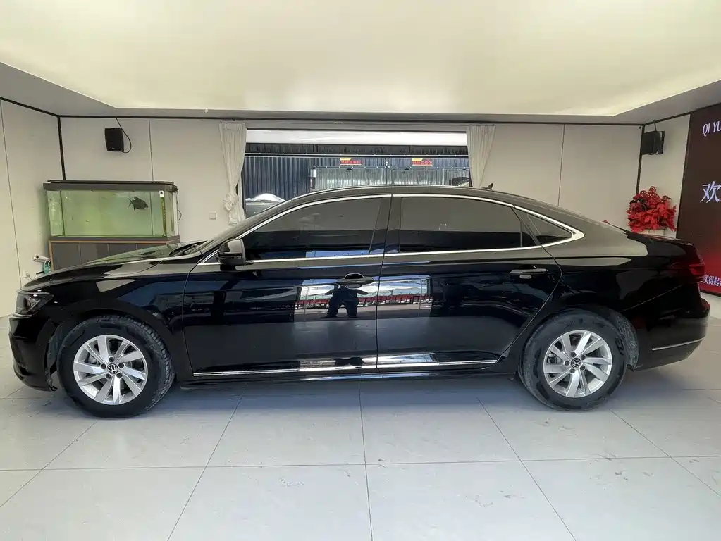 Volkswagen Passat — миниатюра 2