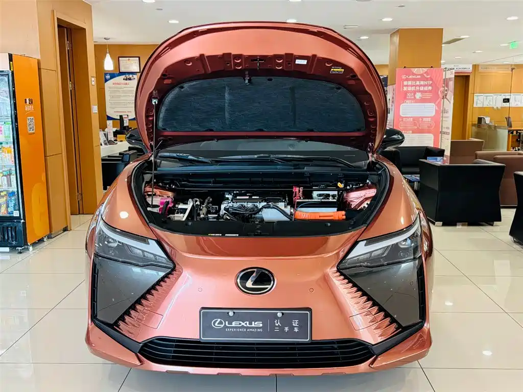 Lexus RZ — миниатюра 8