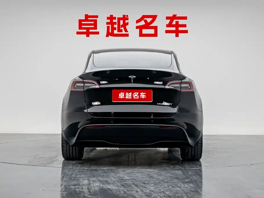 Tesla Model Y — миниатюра 5