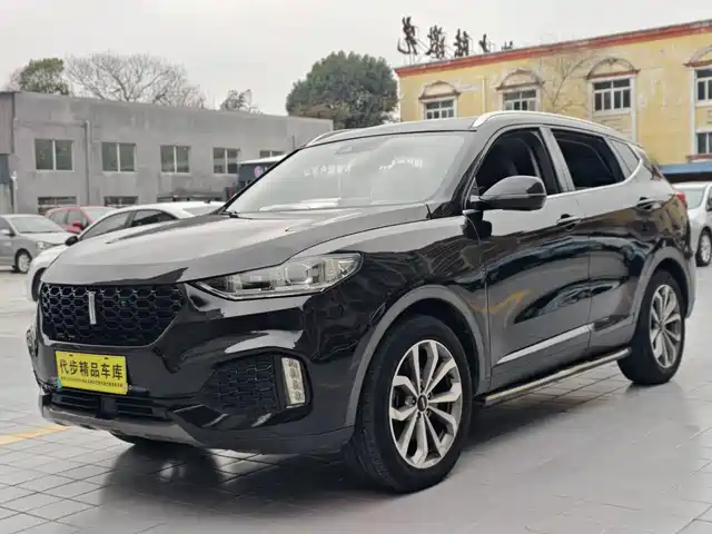 2019 Wey VV6