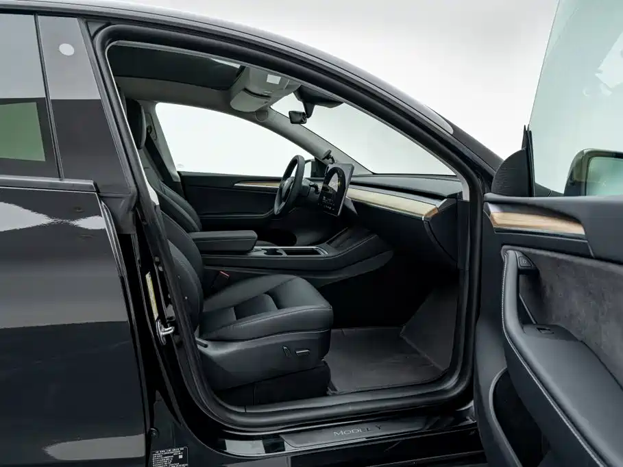 Tesla Model Y — миниатюра 13