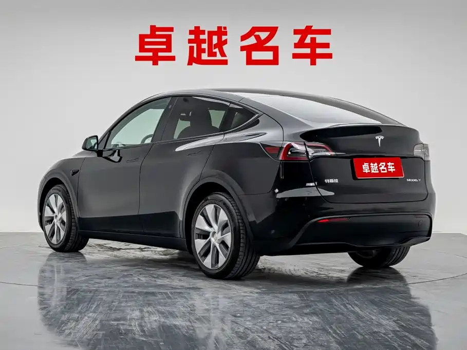 Tesla Model Y — миниатюра 4