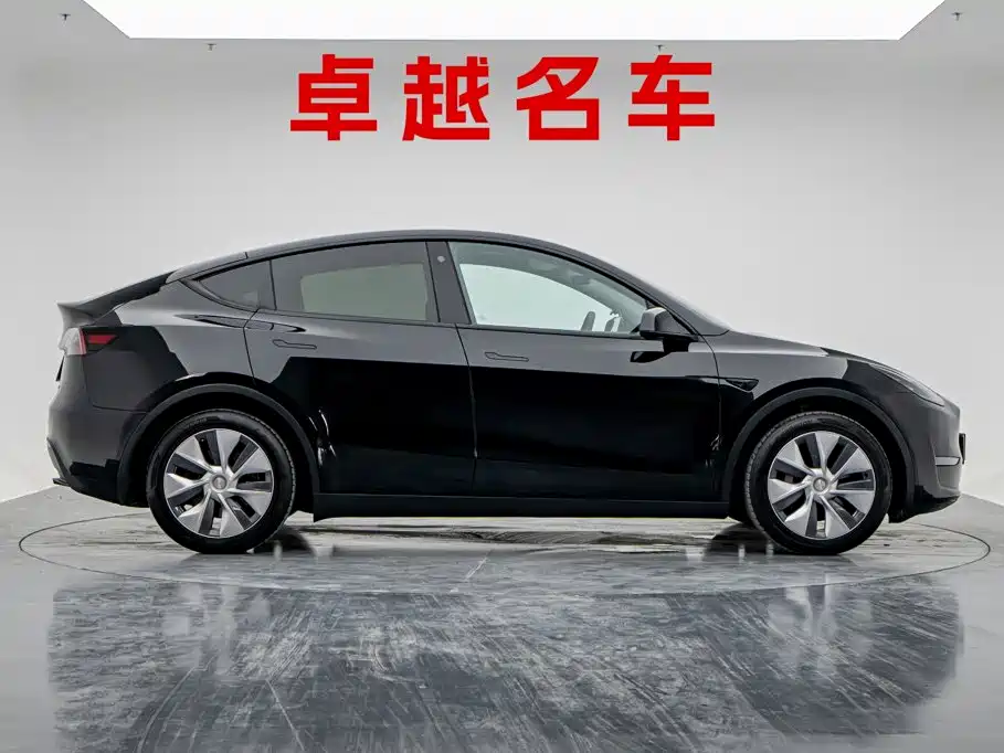 Tesla Model Y — миниатюра 7