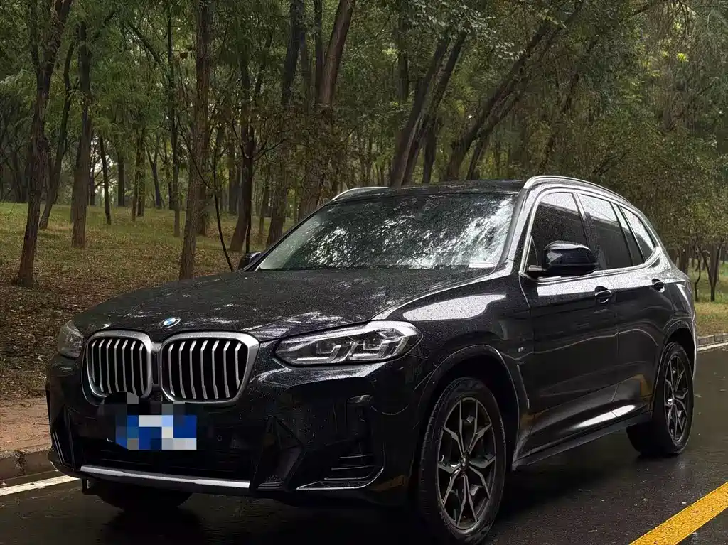 BMW X3 — миниатюра 2