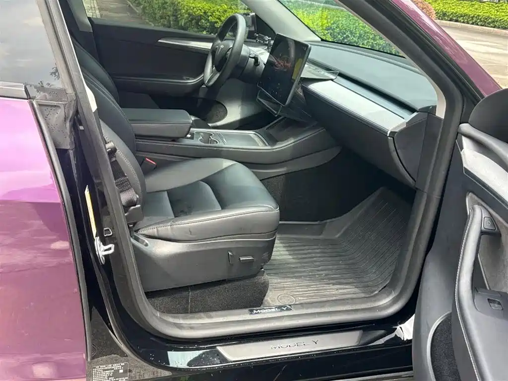 Tesla Model Y — миниатюра 11