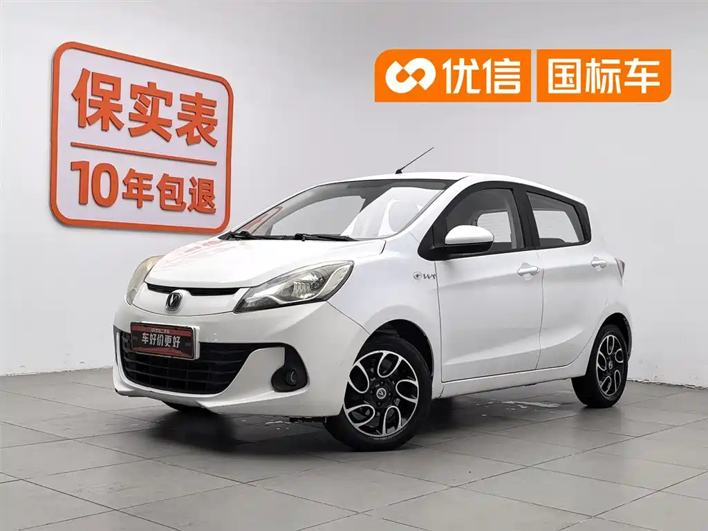 2016 Changan Benni EC/EV - zdjęcie 1 z 24