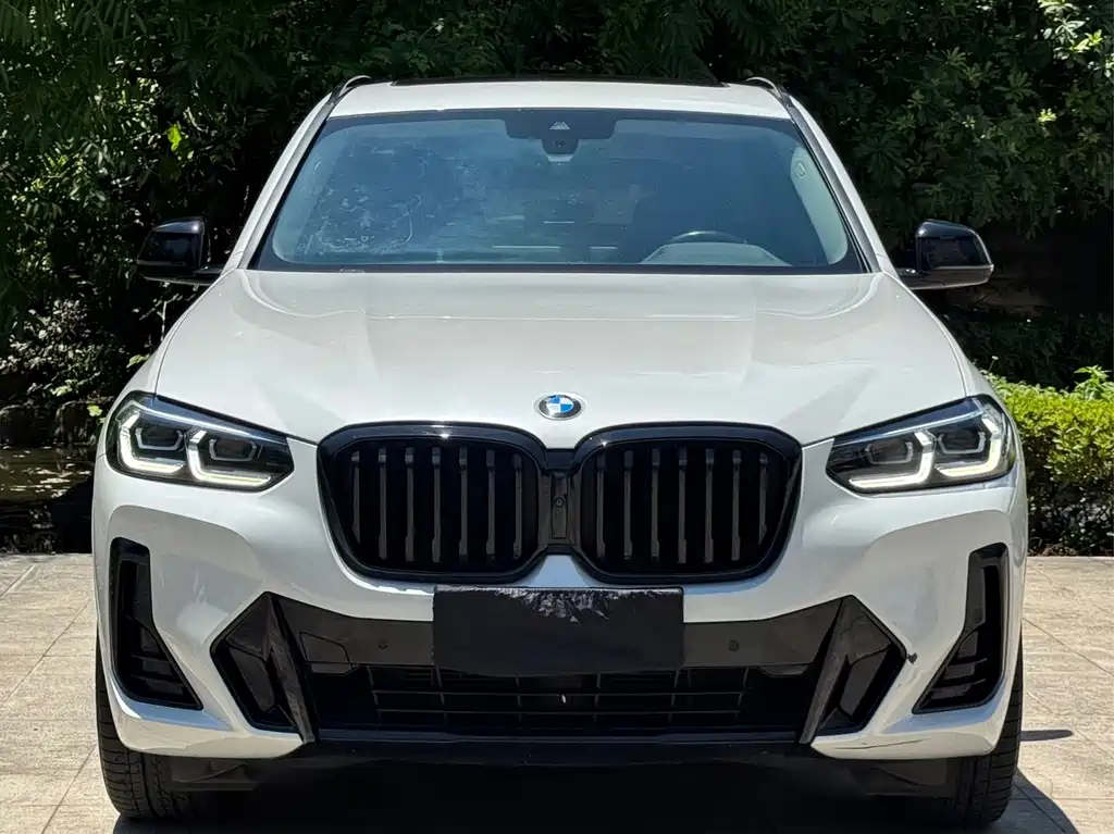 BMW X3 — миниатюра 2