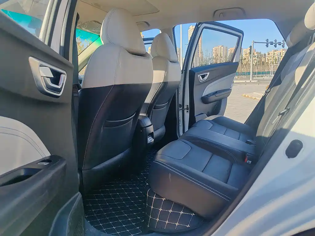 RUILAN AUTOMOBILE MAPLE LEAF 30X