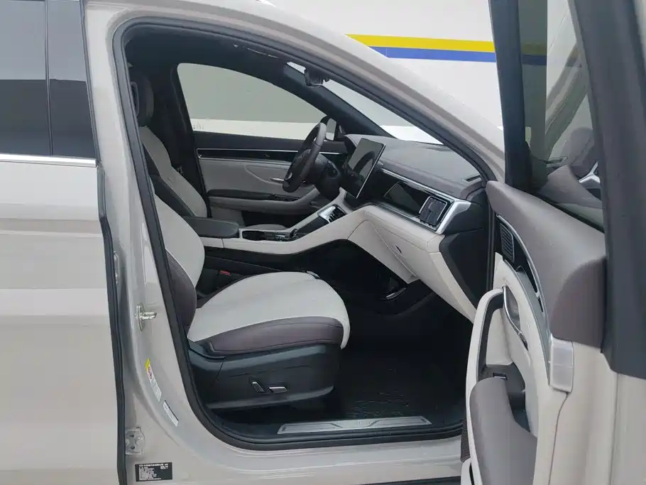 BYD PLUS New Energy — миниатюра 8