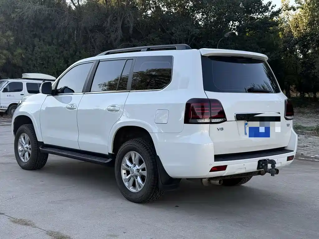 Hengtian L4600 4.6L V8 Pilot Version, фото 11