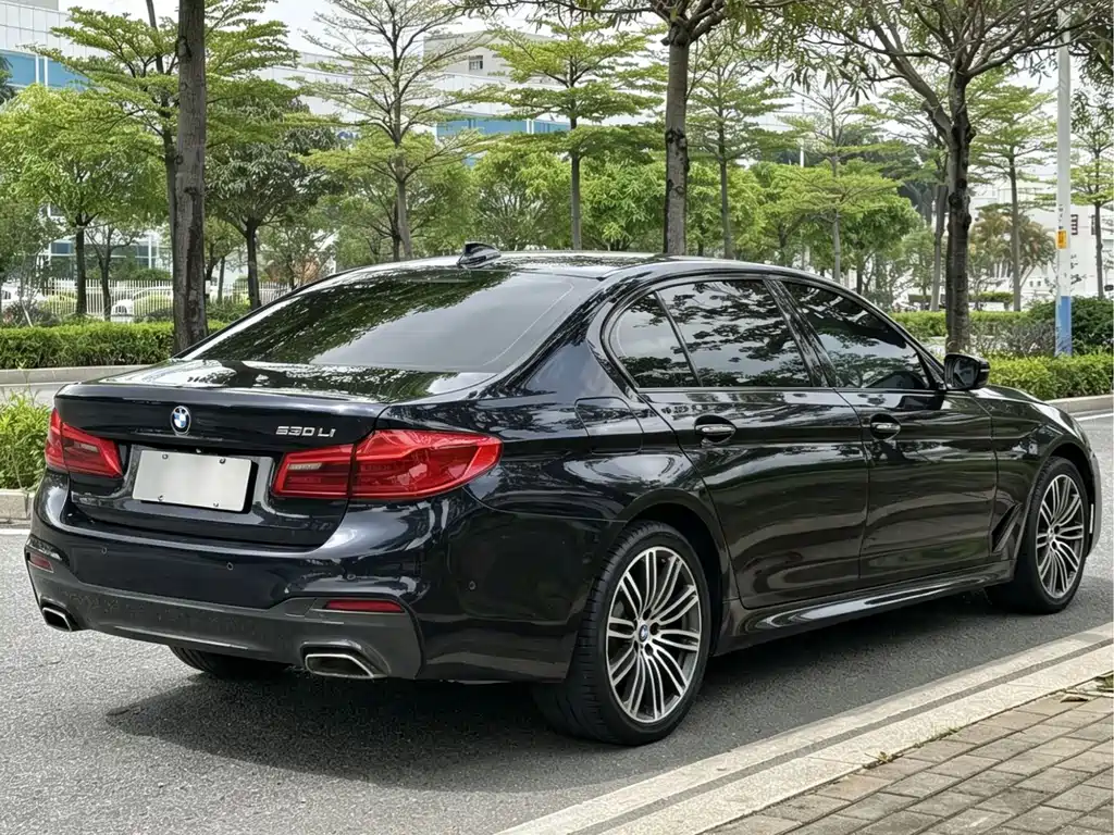 BMW 5 Series — миниатюра 14