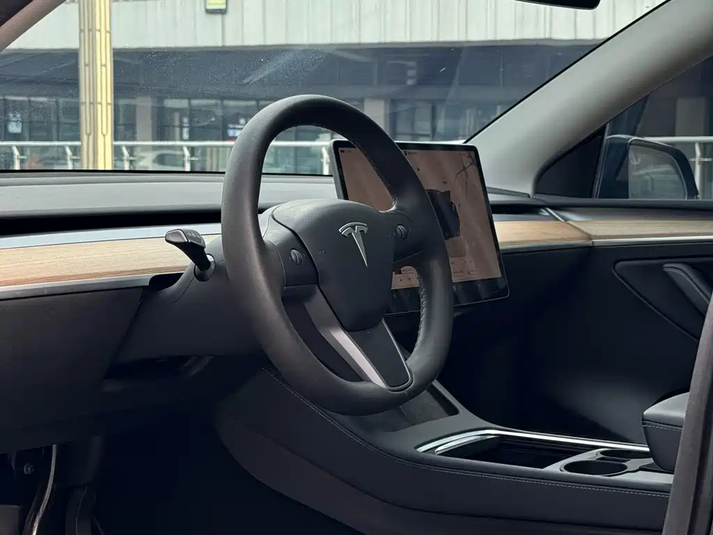Tesla Model Y — миниатюра 2