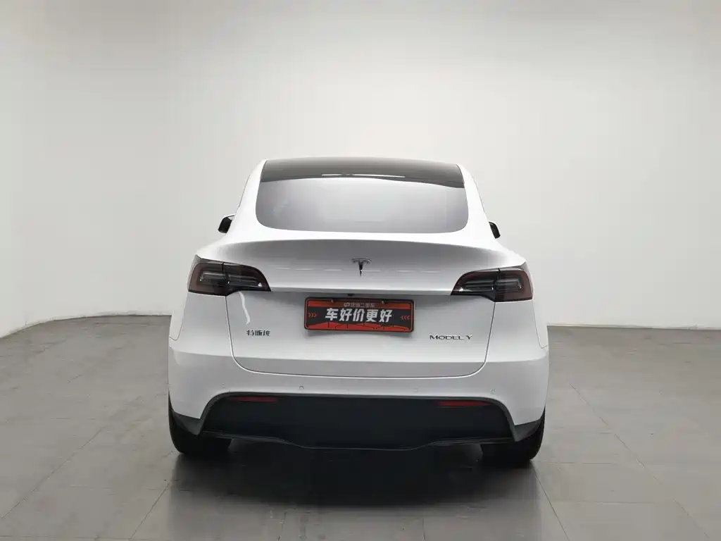 Tesla Model Y — миниатюра 4