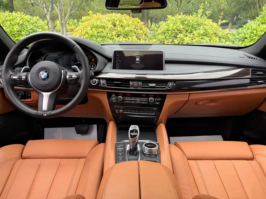 BMW X6 — миниатюра 11