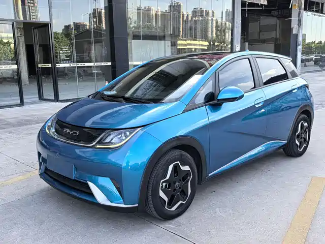 2022 BYD Dolphin