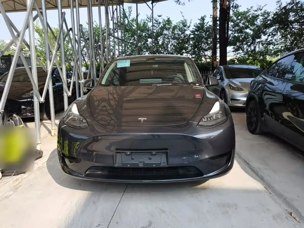 Tesla Model Y — миниатюра 3