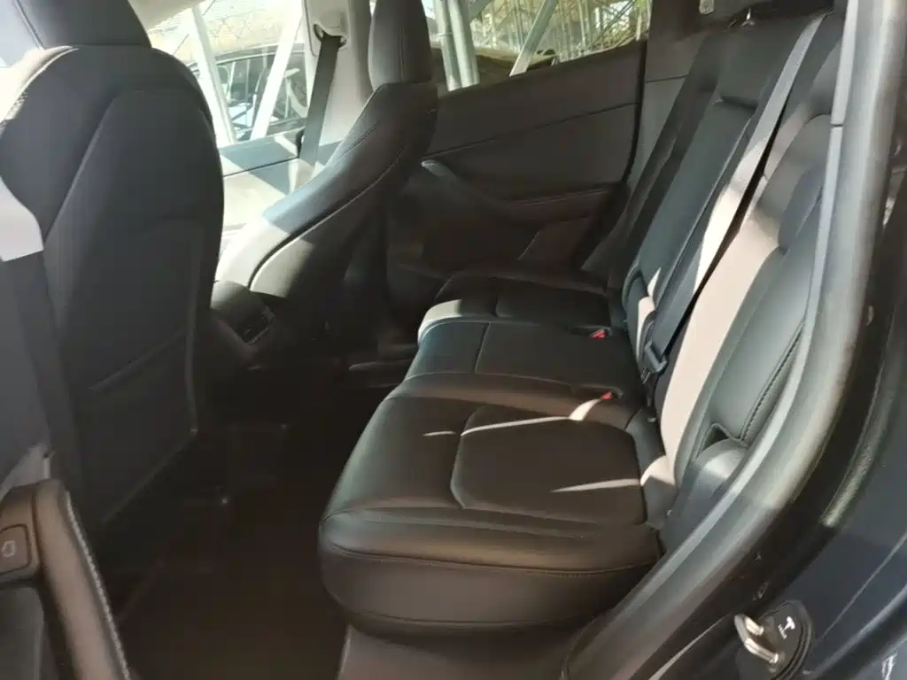 Tesla Model Y — миниатюра 17