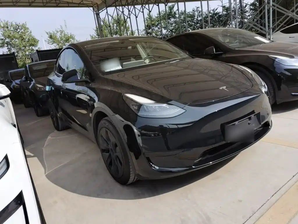 Tesla Model Y — миниатюра 4