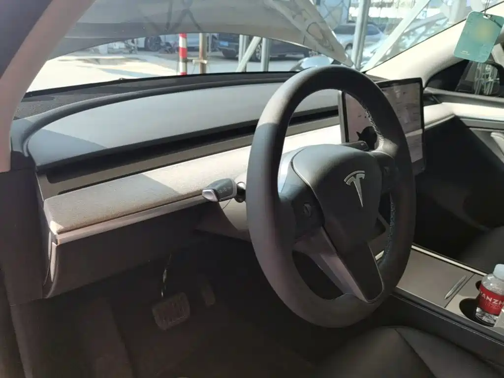 Tesla Model Y — миниатюра 10