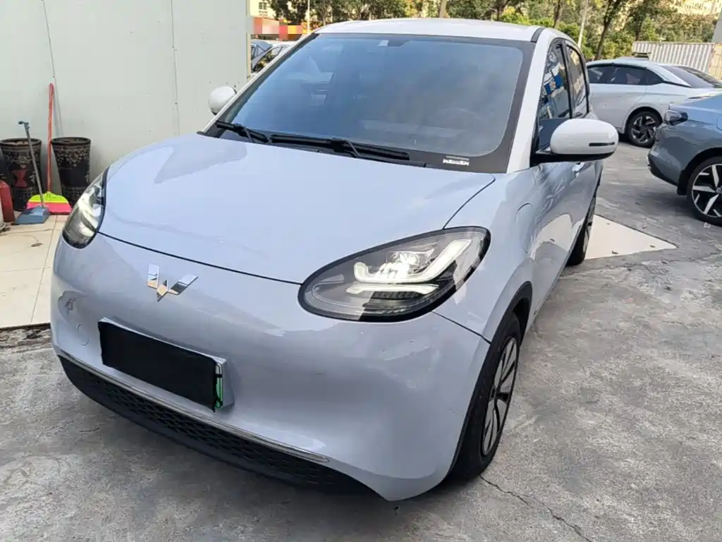 Wuling Binguo 2024 333km Enjoy