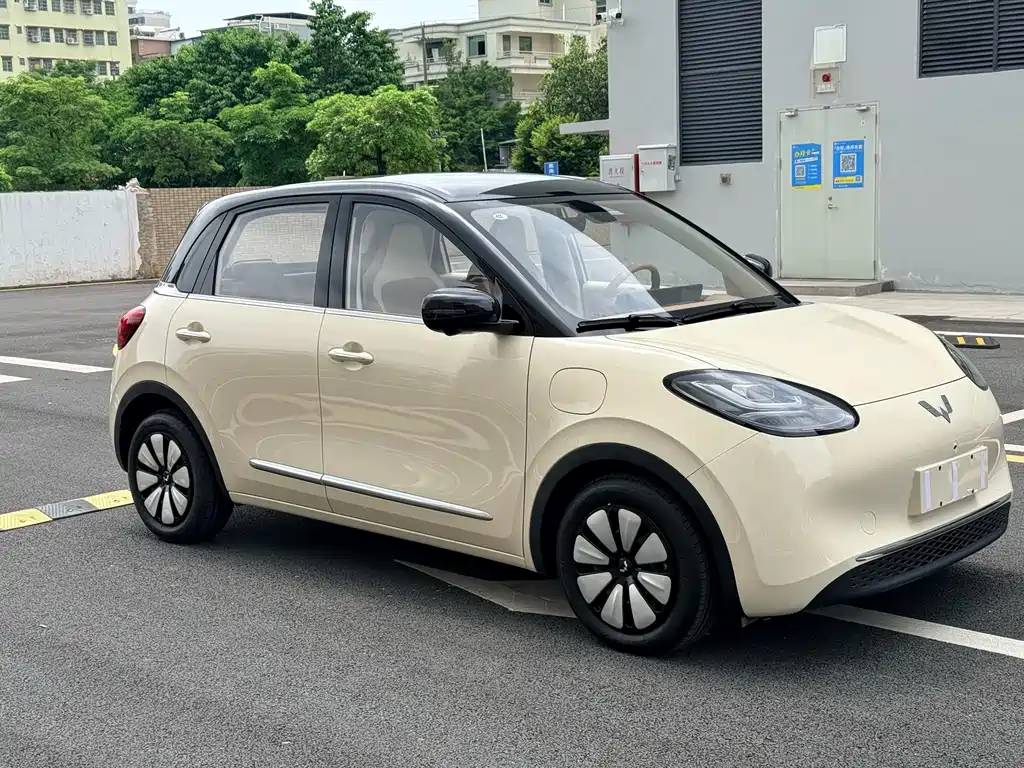 Wuling Binguo 2025 410km Premium