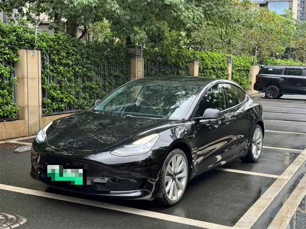 Tesla Model 3 2021