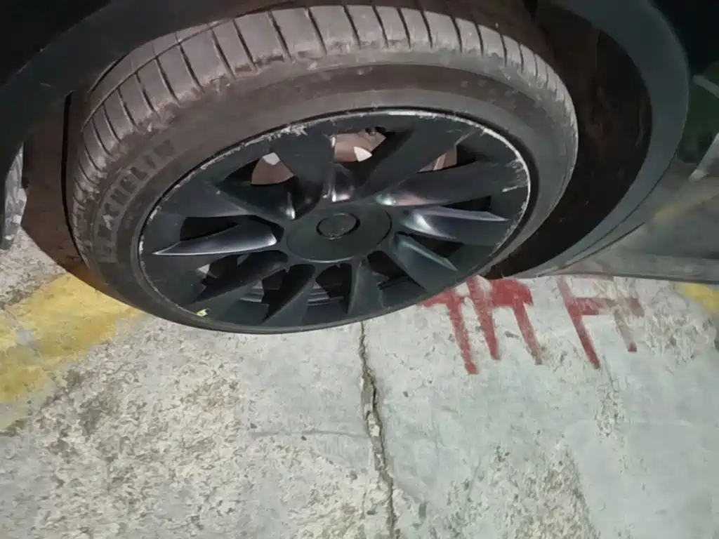 Tesla Model Y — миниатюра 23