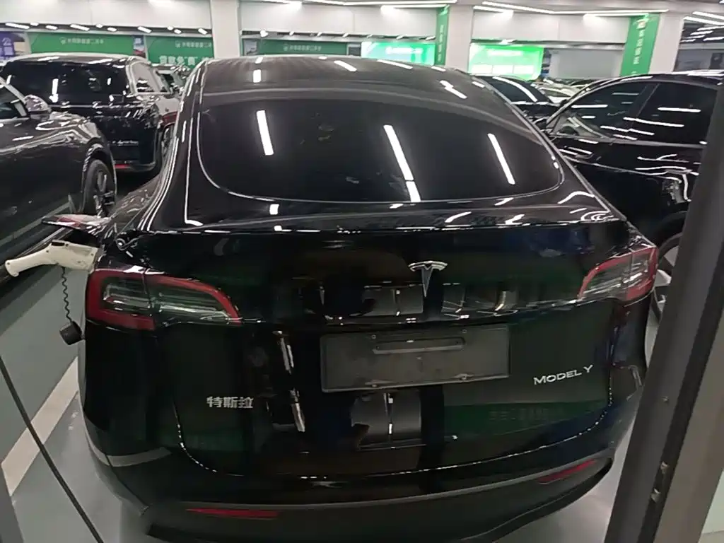 Tesla Model Y — миниатюра 6