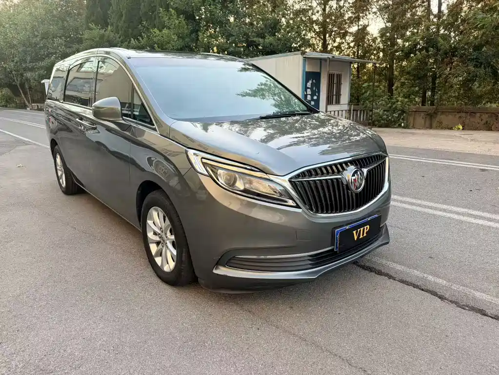Buick GL8 — миниатюра 2