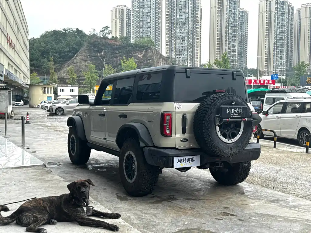 Ford Bronco — миниатюра 8