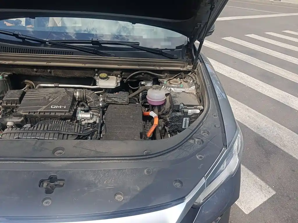 BYD Pro New Energy — миниатюра 21