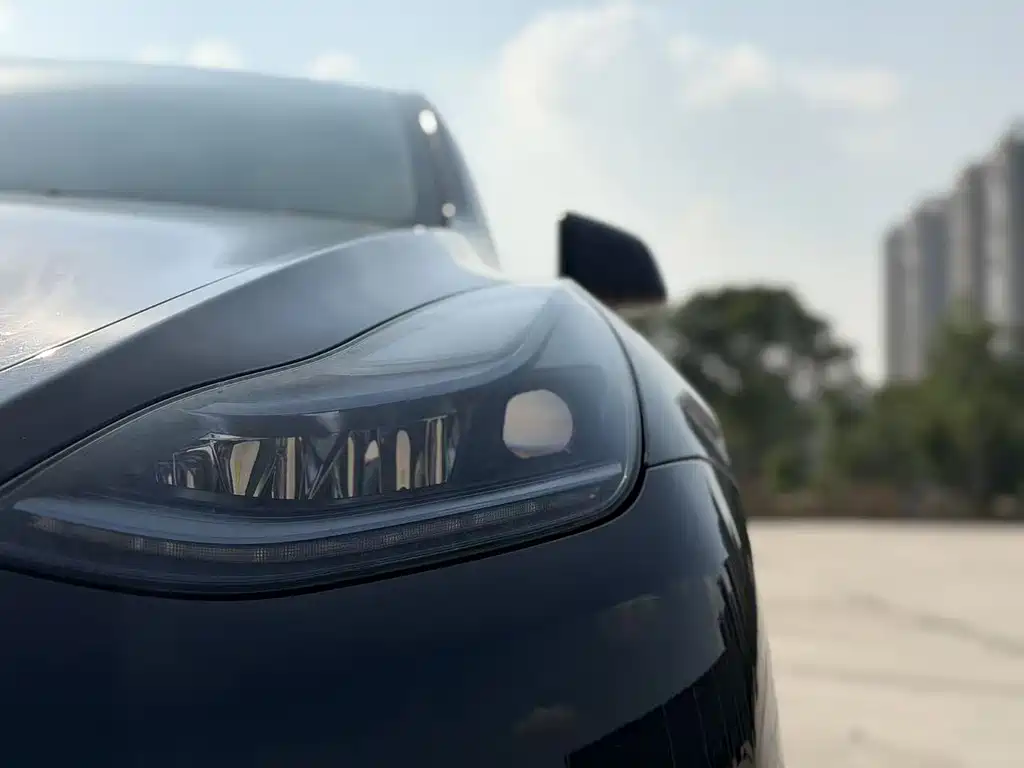 Tesla Model Y — миниатюра 13