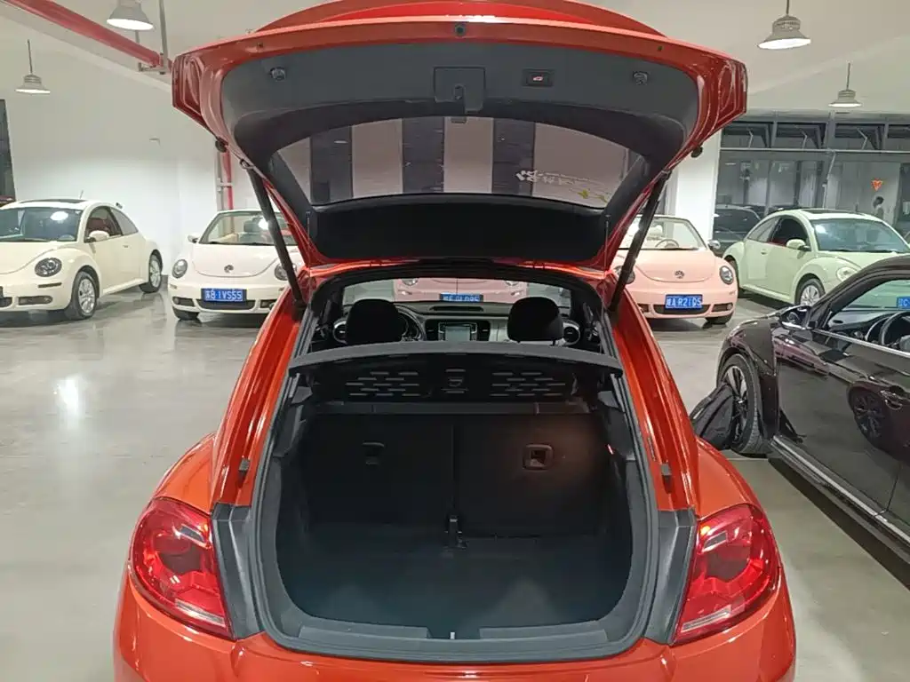 Volkswagen Beetle — миниатюра 19
