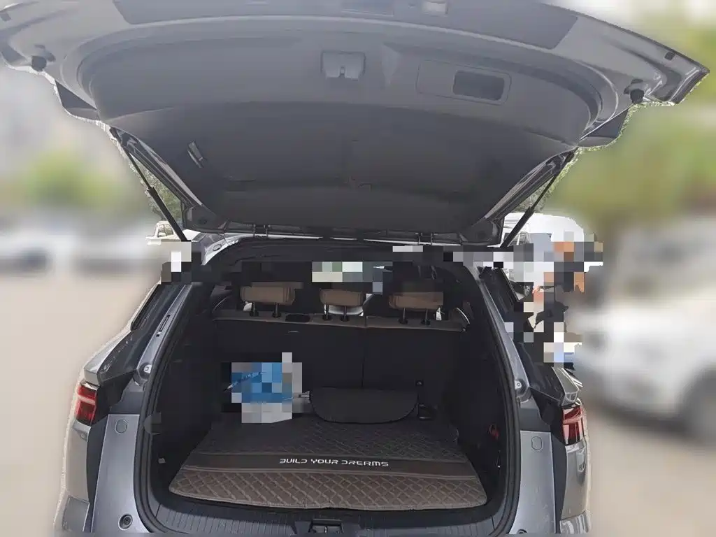 BYD Pro New Energy — миниатюра 15