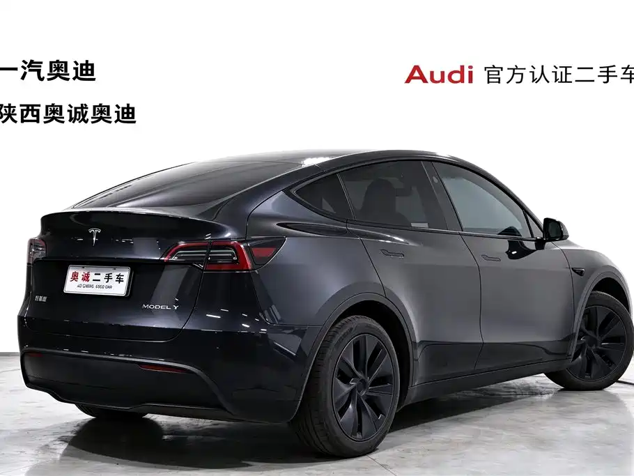 Tesla Model Y — миниатюра 4