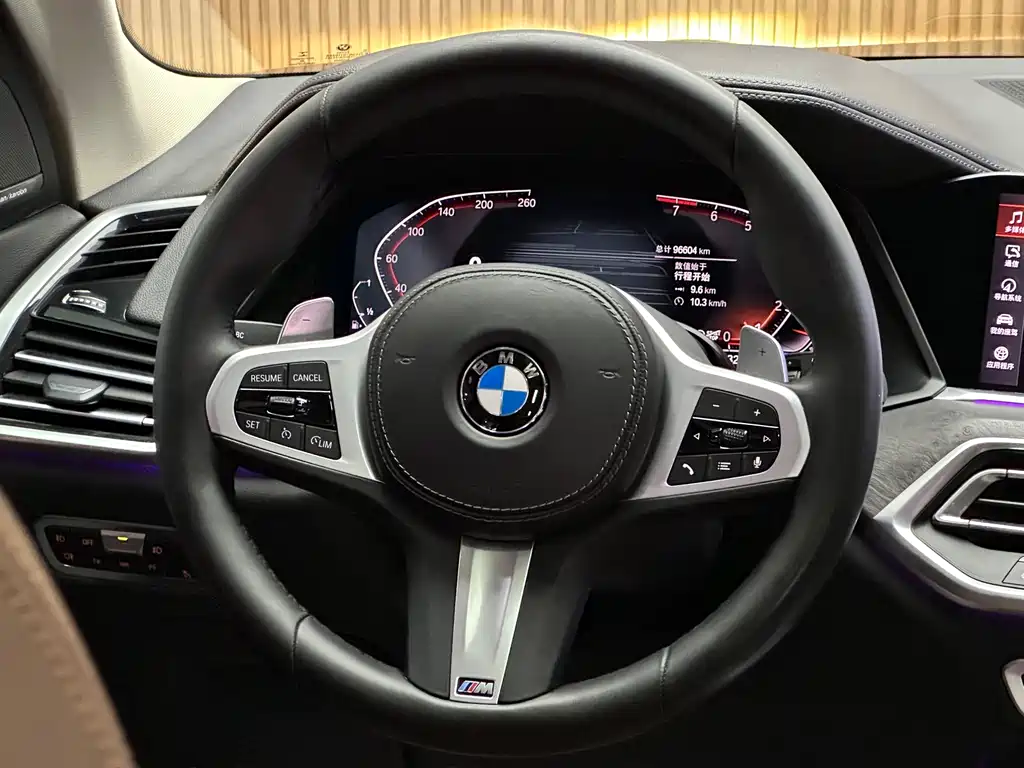 BMW X5 (Import) — миниатюра 11