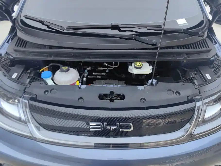 BYD Dolphin — миниатюра 10