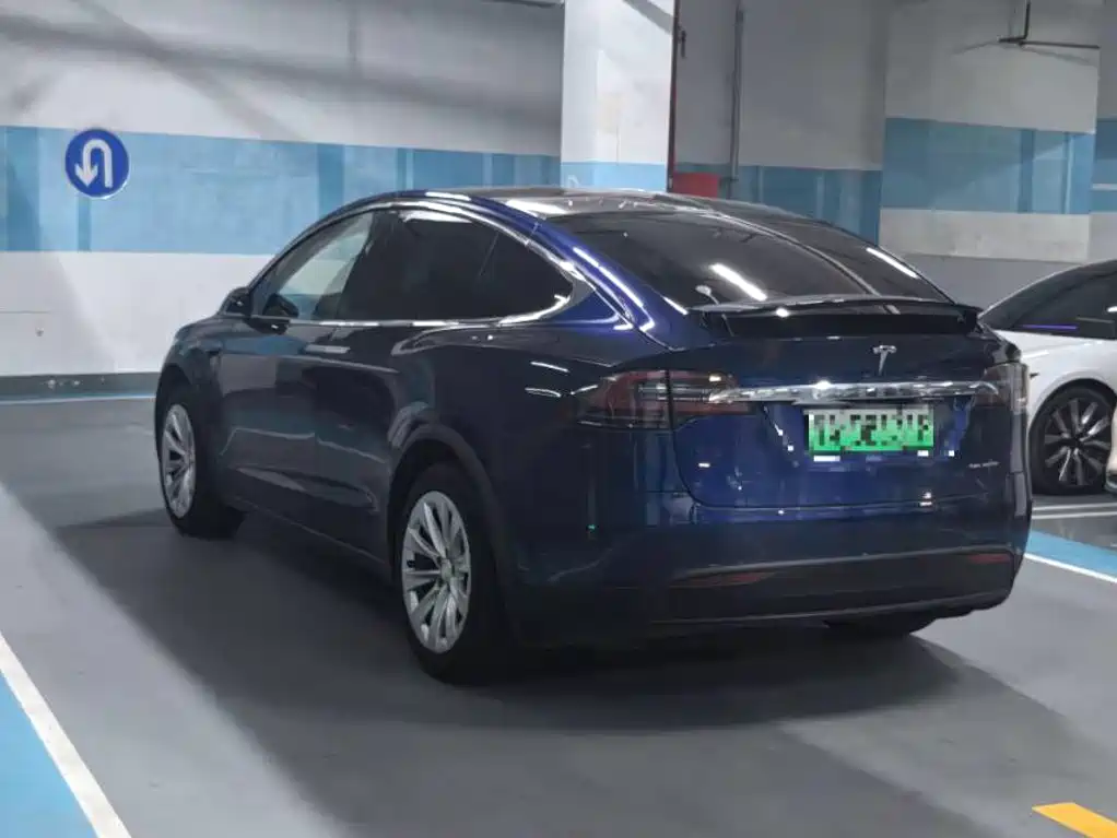 Tesla Model X — миниатюра 6